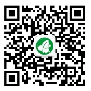公众号