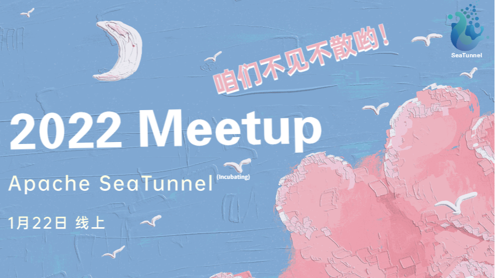 Apache SeaTunnel(Incubating) 2022 Meetup