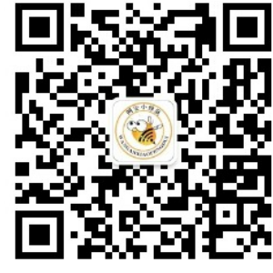 公众号