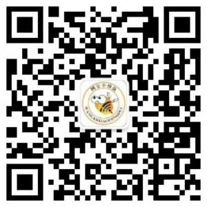 公众号