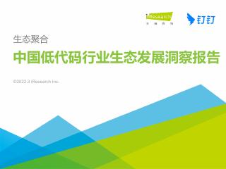 2022中国低代码行业生态发展洞察报告