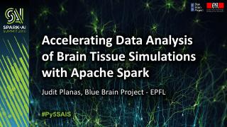 用Apache Spark加速脑组织模拟数据分析