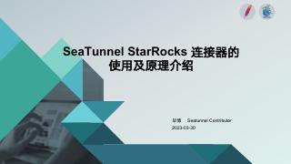 SeaTunnel StarRocks 连...