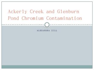 Ackerly Creek and Glenburn Pond Chromium Cont...