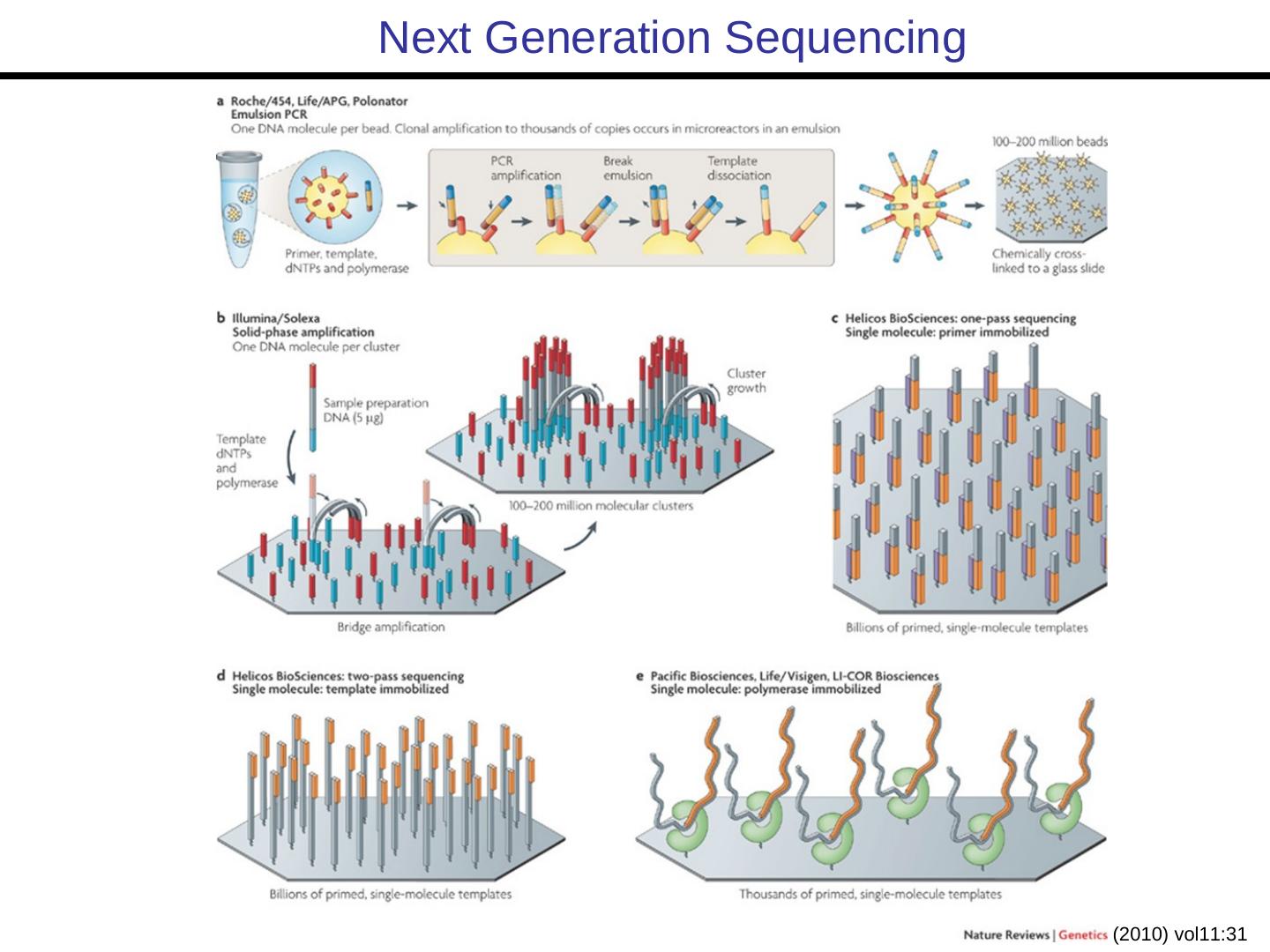 Bioinformatics Lecture 1