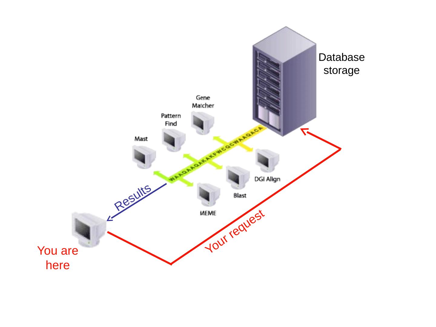 Bioinformatics Lecture 1
