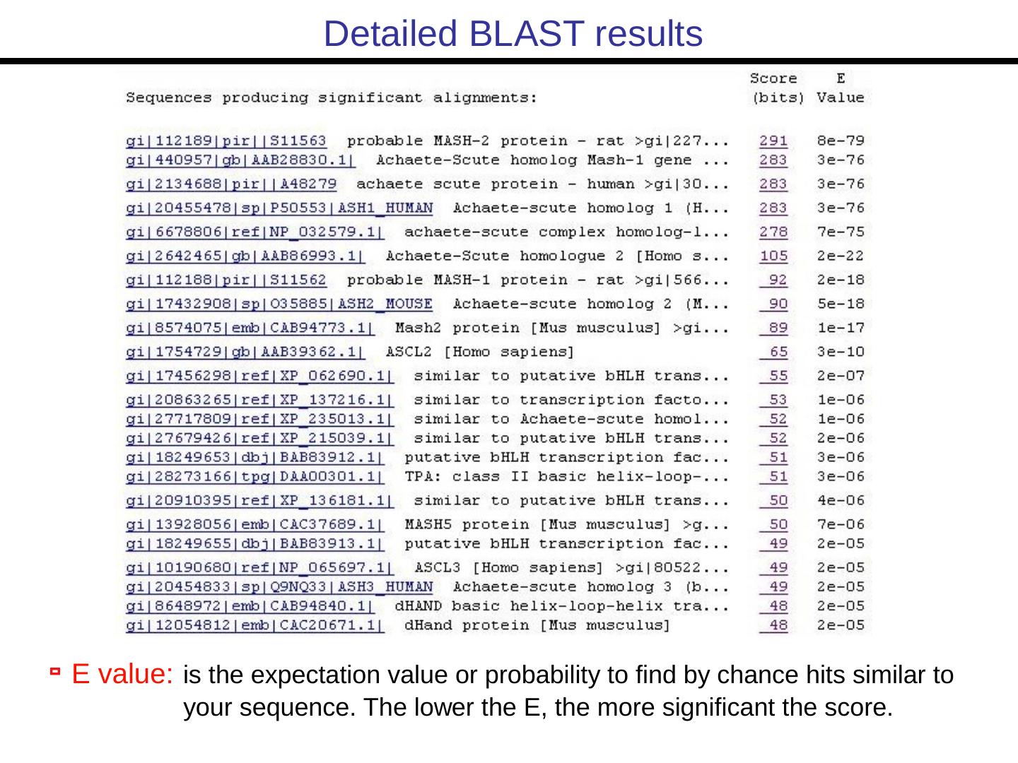 Bioinformatics Lecture 1