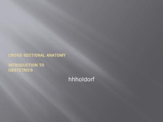 cross-sectional-anatomy-an-introduction-to-ob...