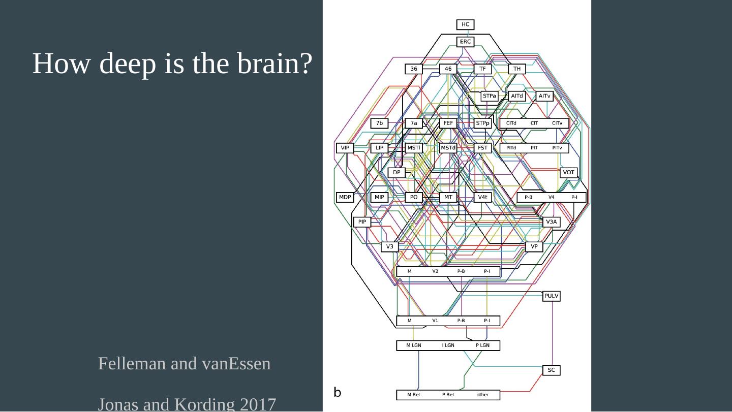 Deep Vs. Shallow Learning