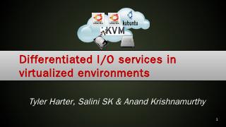 Differentiated IO services - Wisc