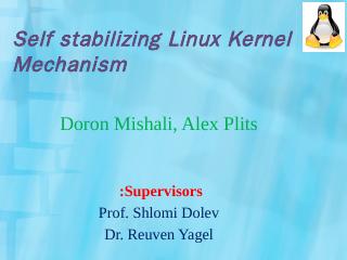 Self stabilizing Linux Kernel Mechanism