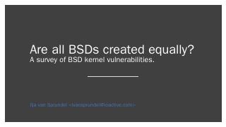 survey of BSD kernel vulnerabilities