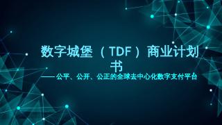 【数字城堡】TDF商业计划书.pptx -...